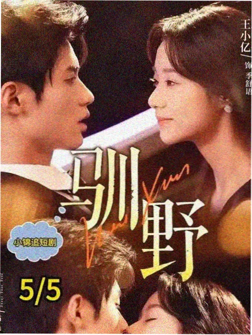 山月不知心底事 双性美人小说封面
